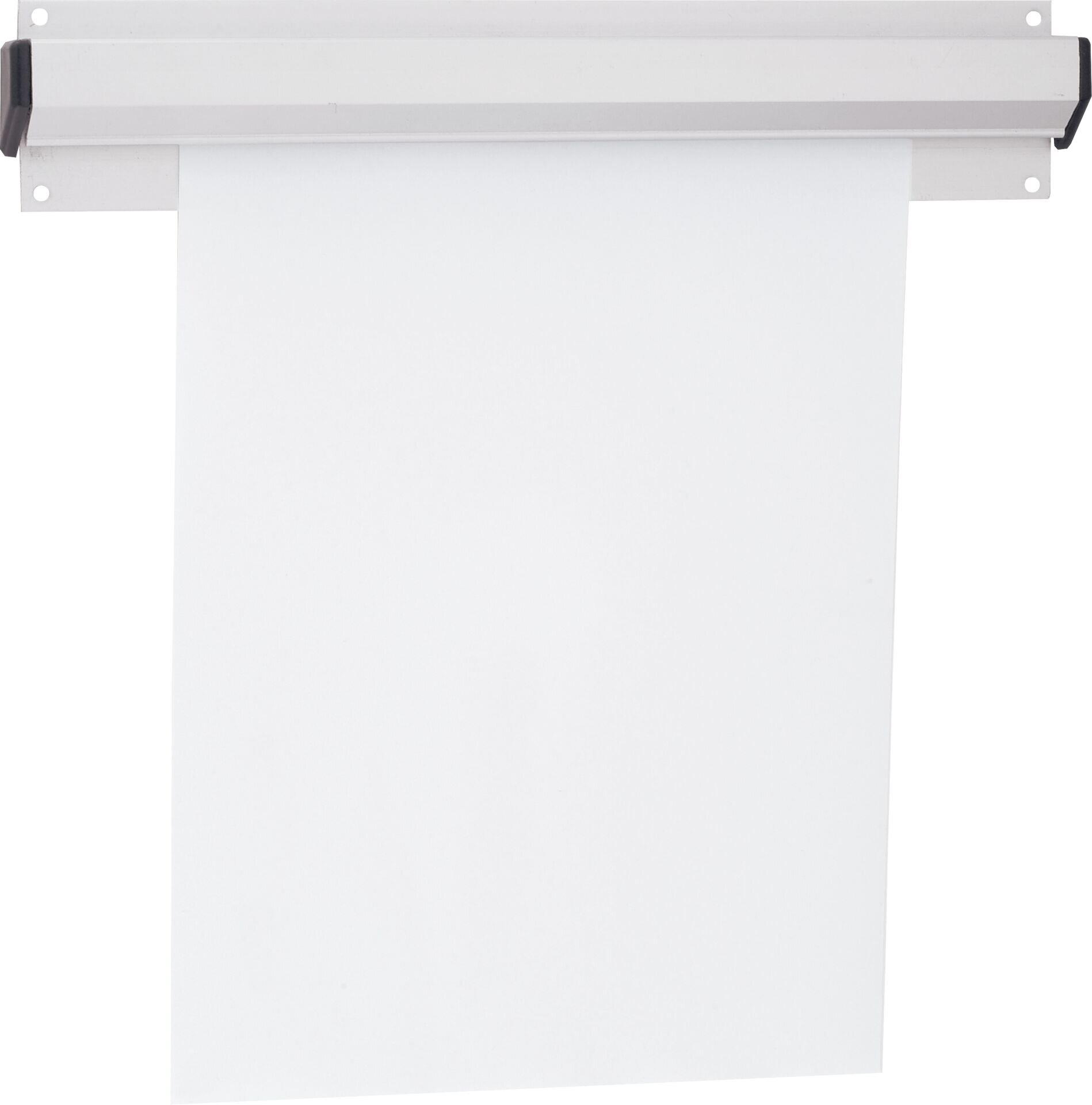 Bonschiene Bonschiene